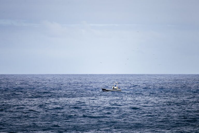 Experience Thrilling Fishing Trips Tailored Just for You